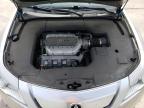 2010 Acura Tl  na sprzedaż w Littleton, CO - Front End