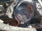 1976 Volkswagen Beetle de vânzare în Jacksonville, FL - Burn