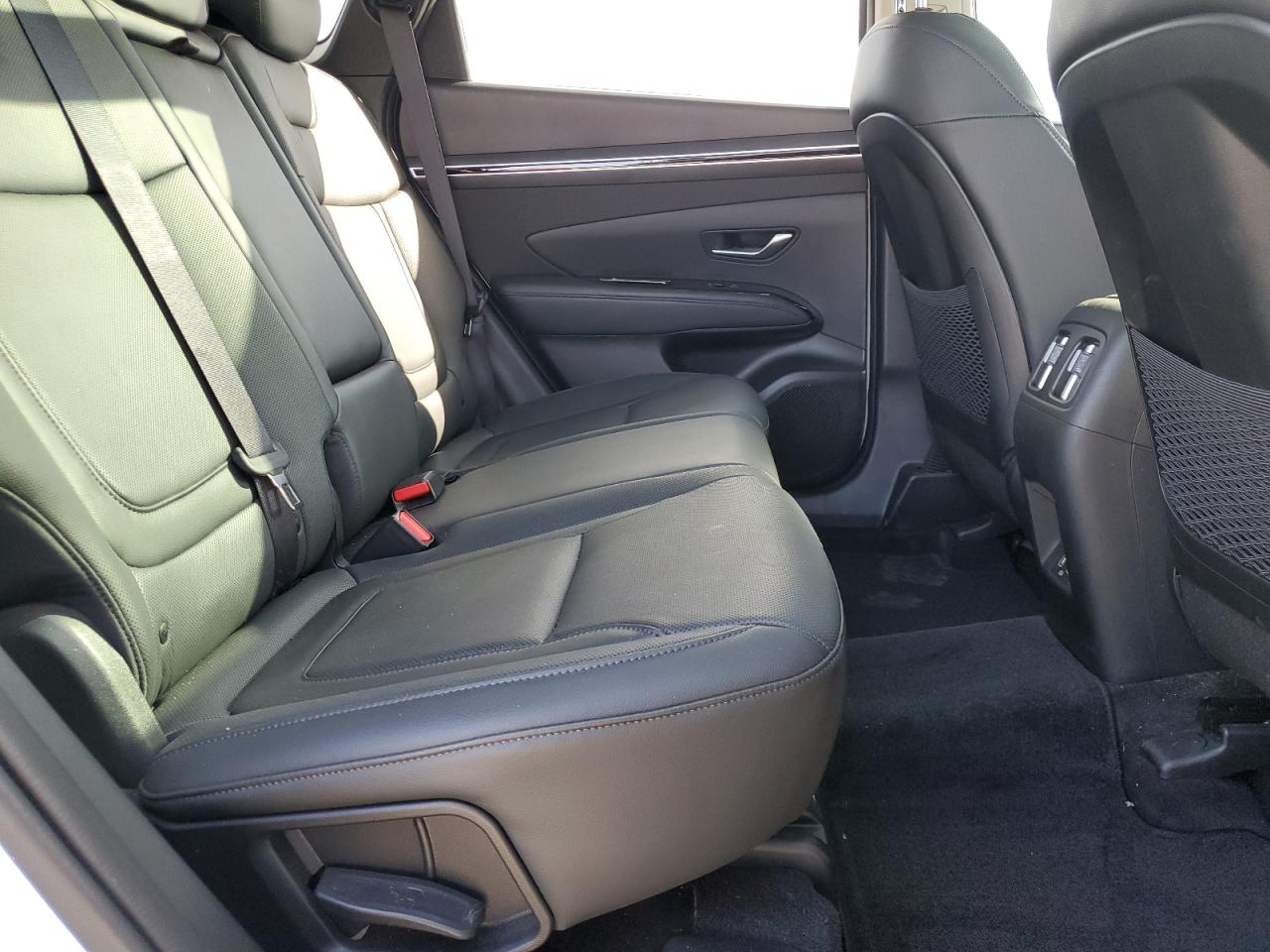2022 Hyundai Tucson Limited VIN: 5NMJECAE6NH161199 Lot: 53136305
