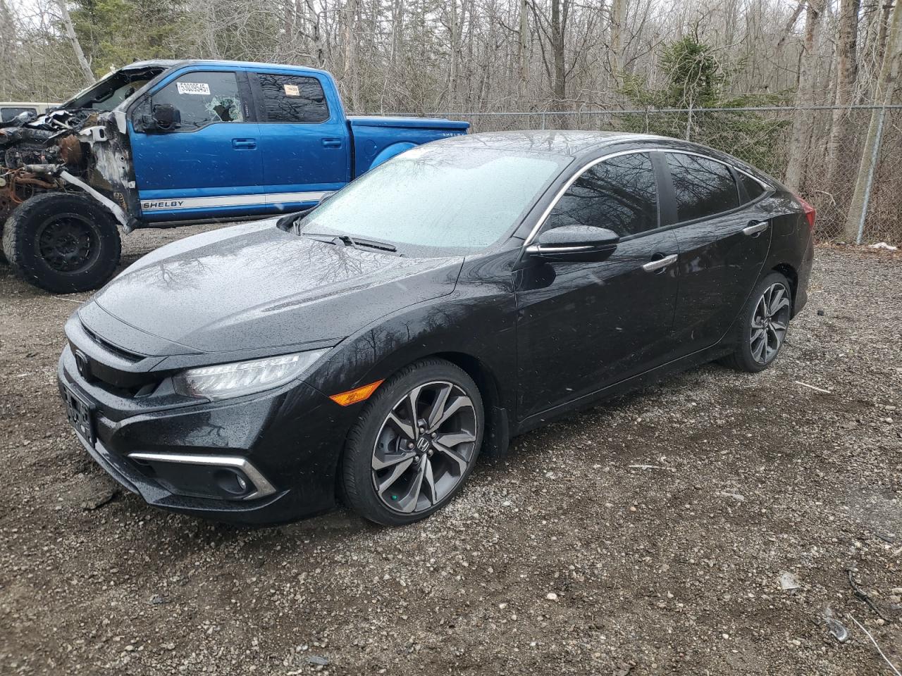 2019 Honda Civic Touring for Sale in Cookstown, ON - Side