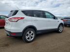 Brighton, CO에서 판매 중인 2013 Ford Escape Se - Rear End