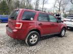 2011 Ford Escape Xlt للبيع في Northfield، OH - Rear End