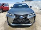 2020 Lexus Ux 250H na sprzedaż w Louisville, KY - Hail