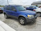 2005 Ford Escape Xlt en Venta en Louisville, KY - Minor Dent/Scratches