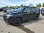 Bridgeton, MO에서 판매 중인 2024 Subaru Forester Wilderness - Hail