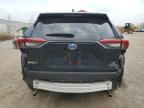 2023 TOYOTA RAV4 LE for sale at Copart ON - LONDON