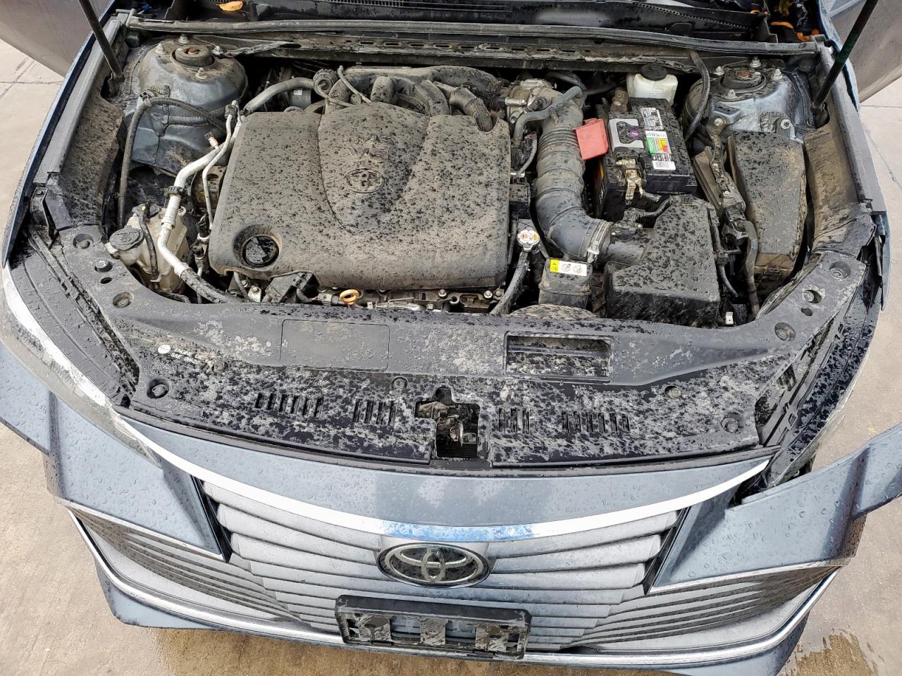 2019 Toyota Avalon Xle VIN: 4T1BZ1FB1KU032637 Lot: 55138585