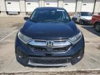 2017 Honda Cr-V Exl იყიდება Louisville-ში, KY - Hail