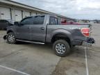 2014 Ford F150 Supercrew en Venta en Louisville, KY - All Over