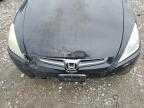 2005 Honda Accord Ex на продаже в Cahokia Heights, IL - Minor Dent/Scratches