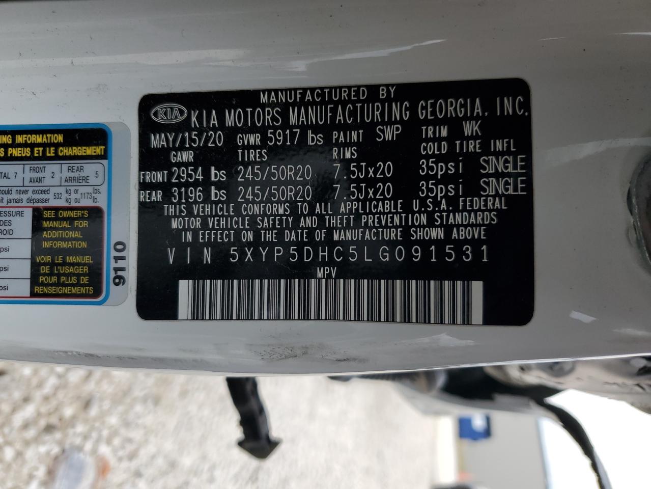 2020 Kia Telluride Sx VIN: 5XYP5DHC5LG091531 Lot: 54584635