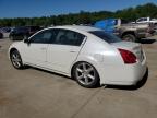 2004 Nissan Maxima Se for Sale in Gaston, SC - Side