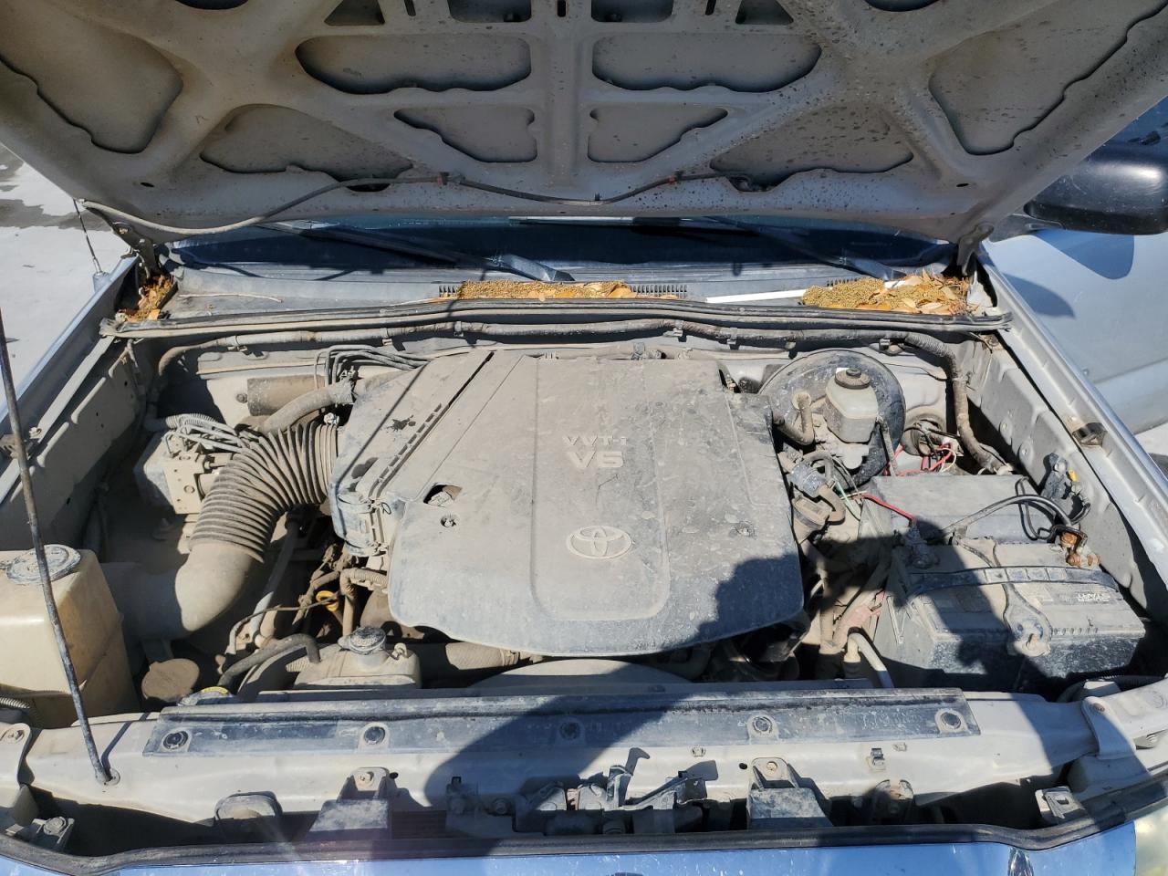 2008 Toyota Tacoma Access Cab VIN: 5TEUU42N58Z570447 Lot: 53819395