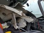 Lumberton, NC에서 판매 중인 2023 International Rh613 Semi Truck - All Over