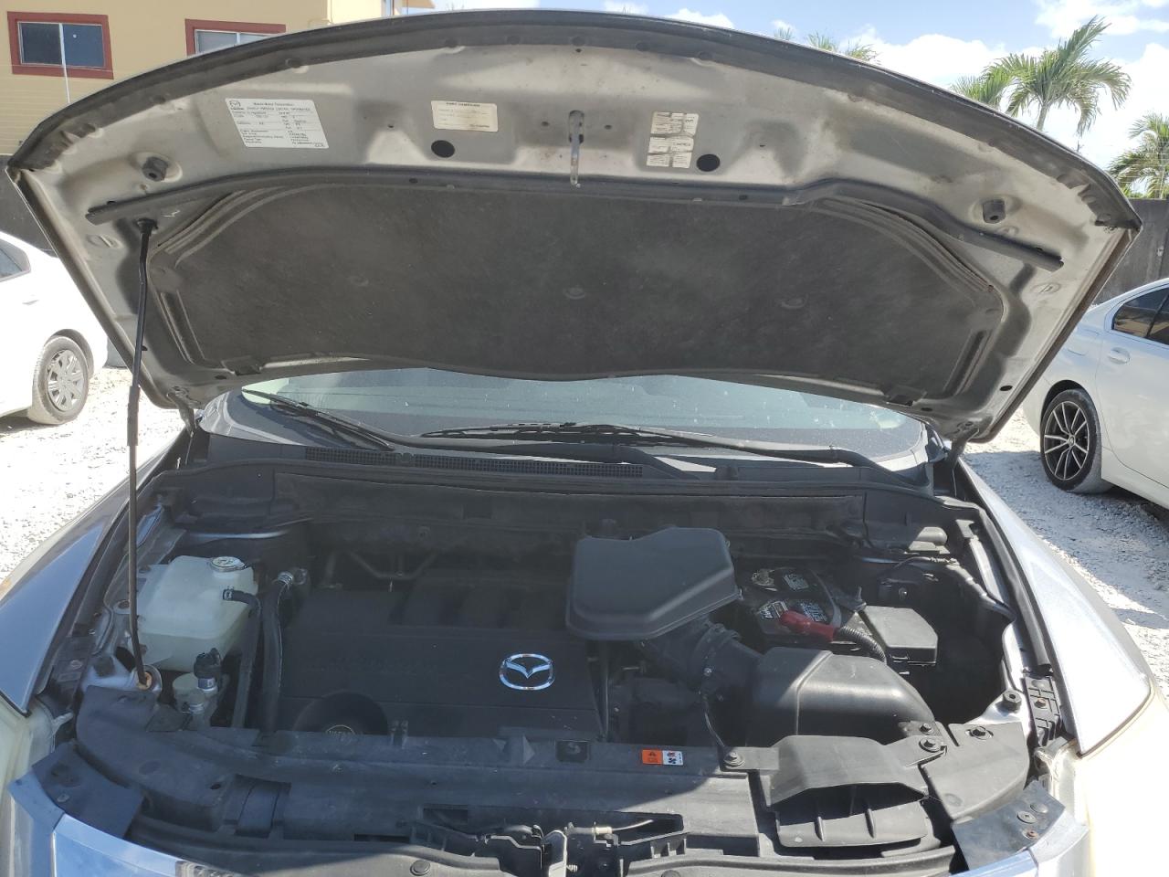 2010 Mazda Cx-9 VIN: JM3TB2MA6A0210813 Lot: 55252165