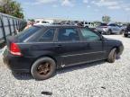 2006 Chevrolet Malibu Maxx Lt for Sale in Riverview, FL - Minor Dent/Scratches