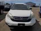 2011 HONDA CR-V LX for sale at Copart ON - TORONTO