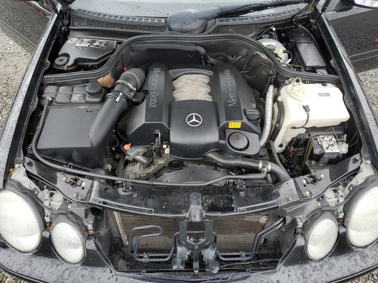 2001 Mercedes-Benz Clk 320 VIN: WDBLJ65G71F175961 Lot: 54886275