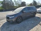 Madisonville, TN에서 판매 중인 2022 Honda Odyssey Ex - Rear End