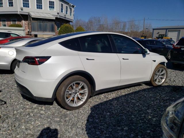  TESLA MODEL Y 2023 Biały