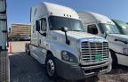 2015 Freightliner Cascadia 125  for Sale in Cahokia Heights, IL - All Over