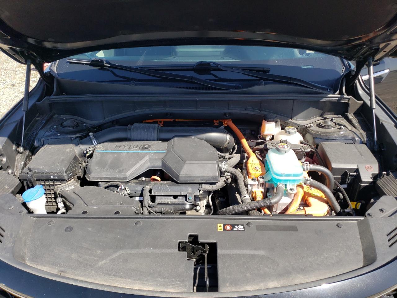 2022 Kia Sorento Sx Prestige VIN: KNDRMDLH2N5088001 Lot: 51992195