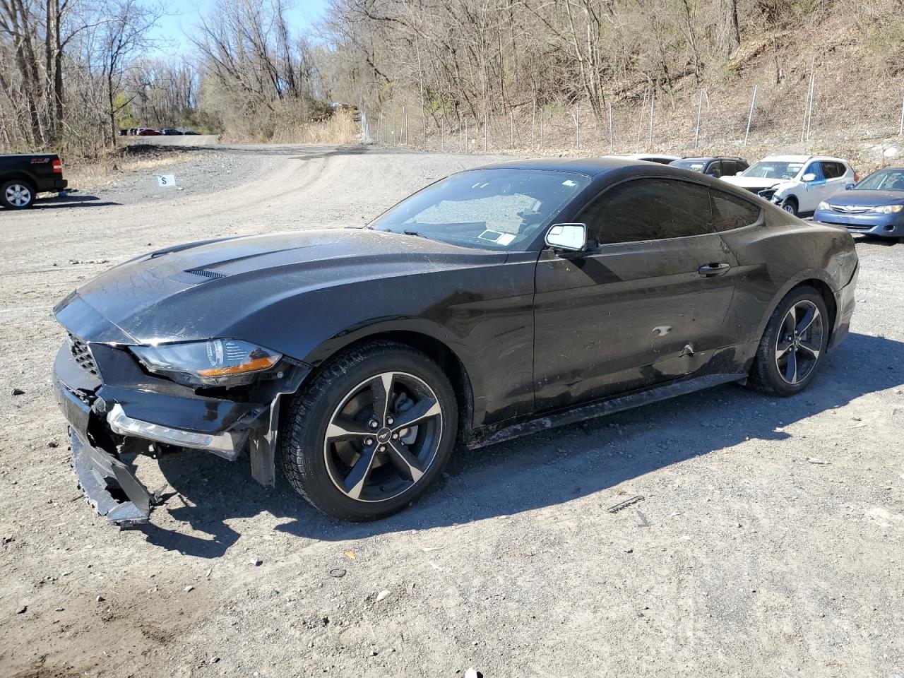 2019 Ford Mustang for Sale in Marlboro, NY - Side