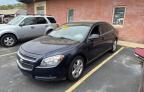 2010 CHEVROLET MALIBU LS à vendre chez Copart KS - KANSAS CITY