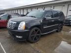 2008 Cadillac Escalade Luxury for Sale in Louisville, KY - Rear End