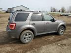 2010 Ford Escape Limited en Venta en Portland, MI - Front End