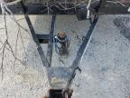 2022 Load Trail Utility Trailer zu verkaufen in Harleyville, SC - Side