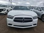2011 Dodge Charger  for Sale in Elgin, IL - Rear End