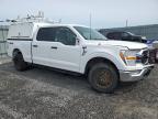 2022 FORD F150 SUPERCREW   à vendre chez Copart ON - OTTAWA