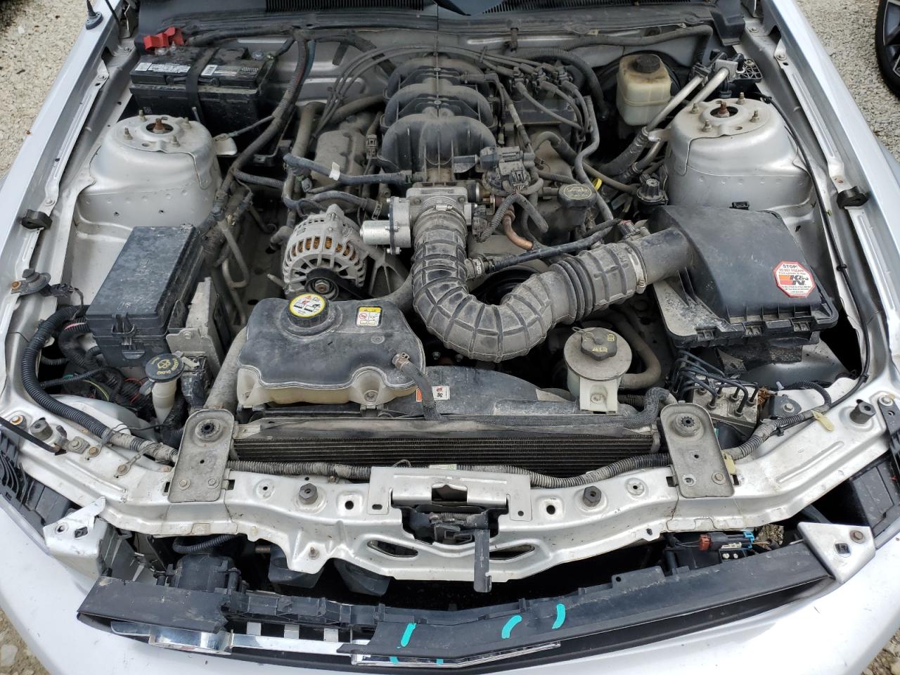 2008 Ford Mustang VIN: 1ZVHT80N385142049 Lot: 54693915