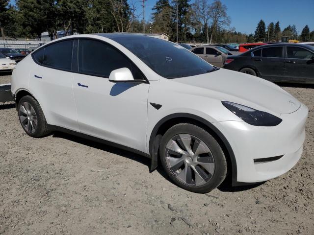 TESLA MODEL Y 2023 Biały