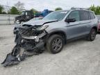 2024 Honda Passport Trail Sport for Sale in Walton, KY - Front End