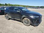 2024 Lexus Nx 250 Base იყიდება Conway-ში, AR - Front End