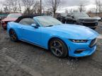 2024 Ford Mustang  للبيع في Marlboro، NY - Water/Flood