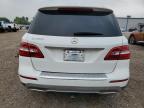 2015 Mercedes-Benz Ml 350 for Sale in Mercedes, TX - Water/Flood