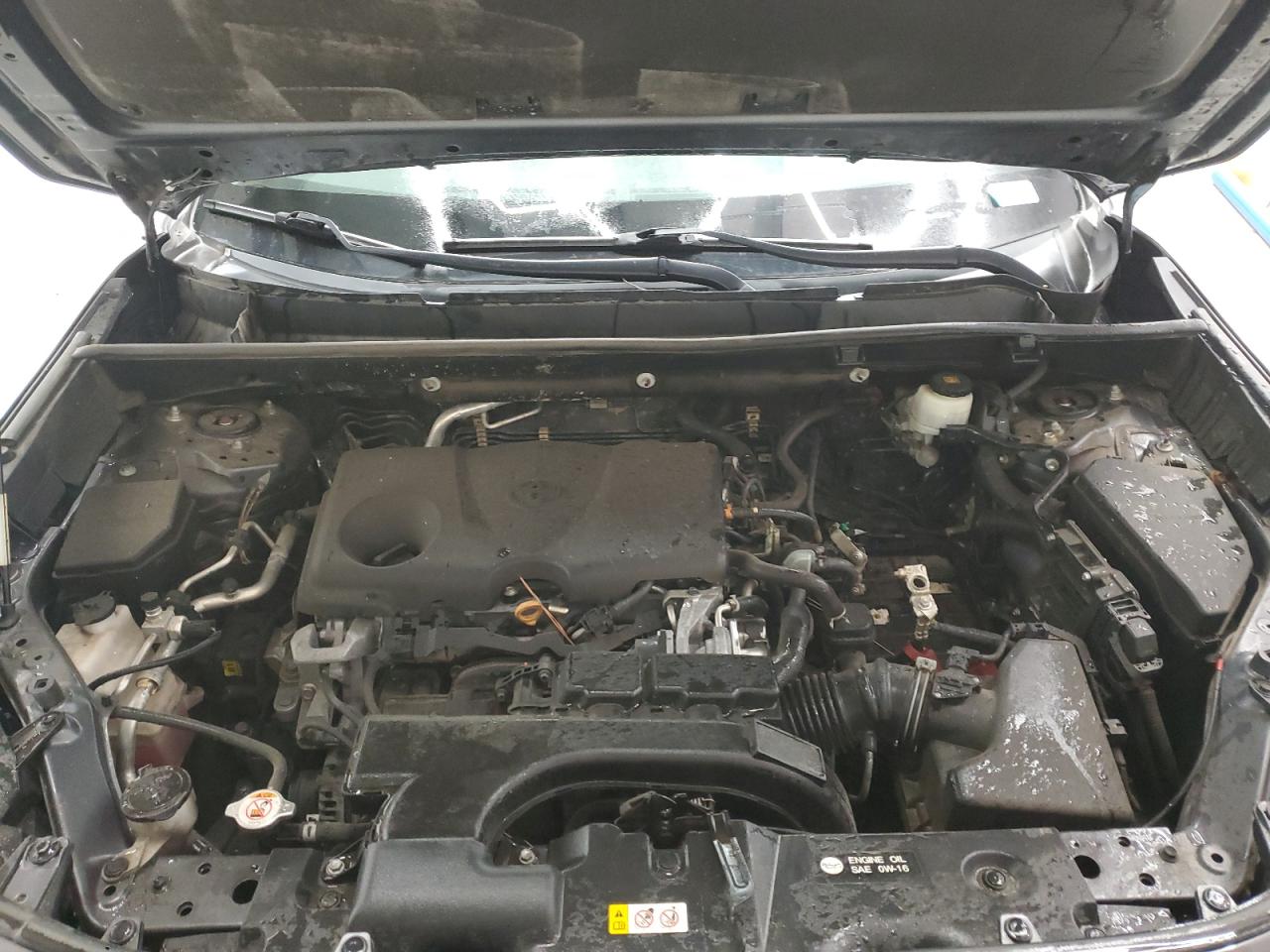 2021 Toyota Rav4 Xle VIN: 2T3P1RFV3MW155694 Lot: 51330255