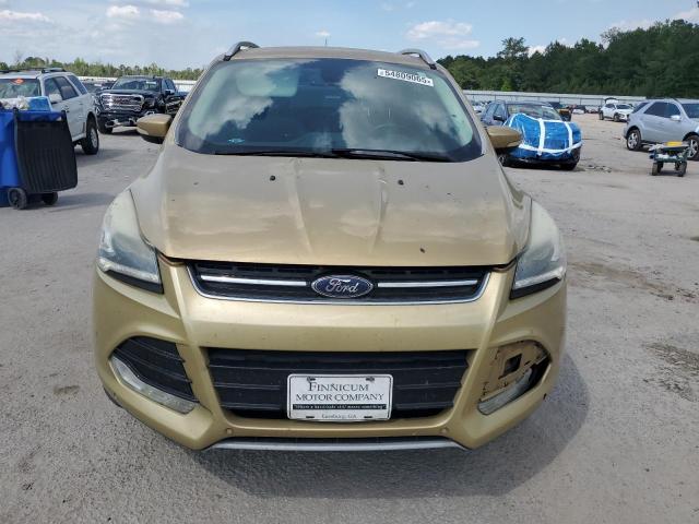  FORD ESCAPE 2014 Gold