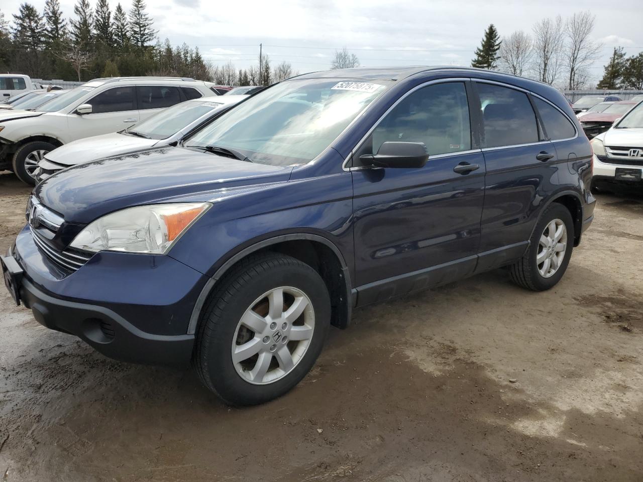 2009 Honda Cr-V Ex blue suv gas 5J6RE48589L802785 photo #1