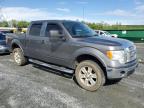 2012 Ford F150 Supercrew zu verkaufen in Spartanburg, SC - Rear End