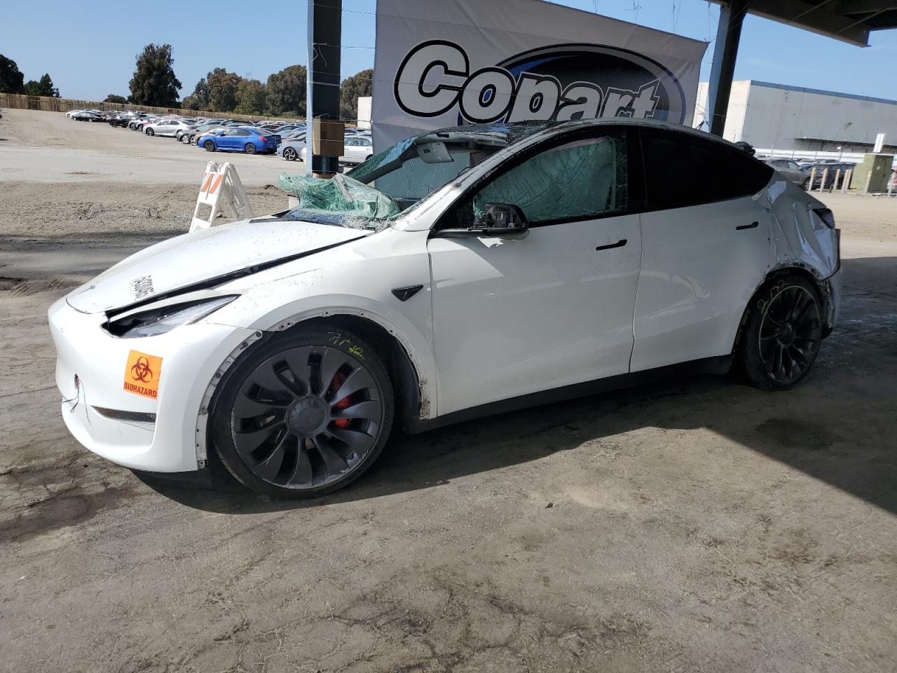 2023 Tesla Model Y for Sale in Hayward, CA - All Over
