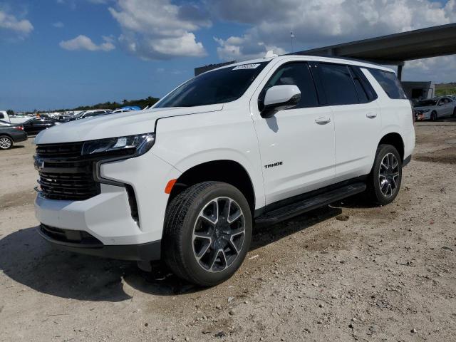  CHEVROLET TAHOE 2024 White