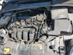 2012 Ford Focus Sel for Sale in Cahokia Heights, IL - Hail