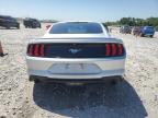2019 Ford Mustang  for Sale in Houston, TX - All Over