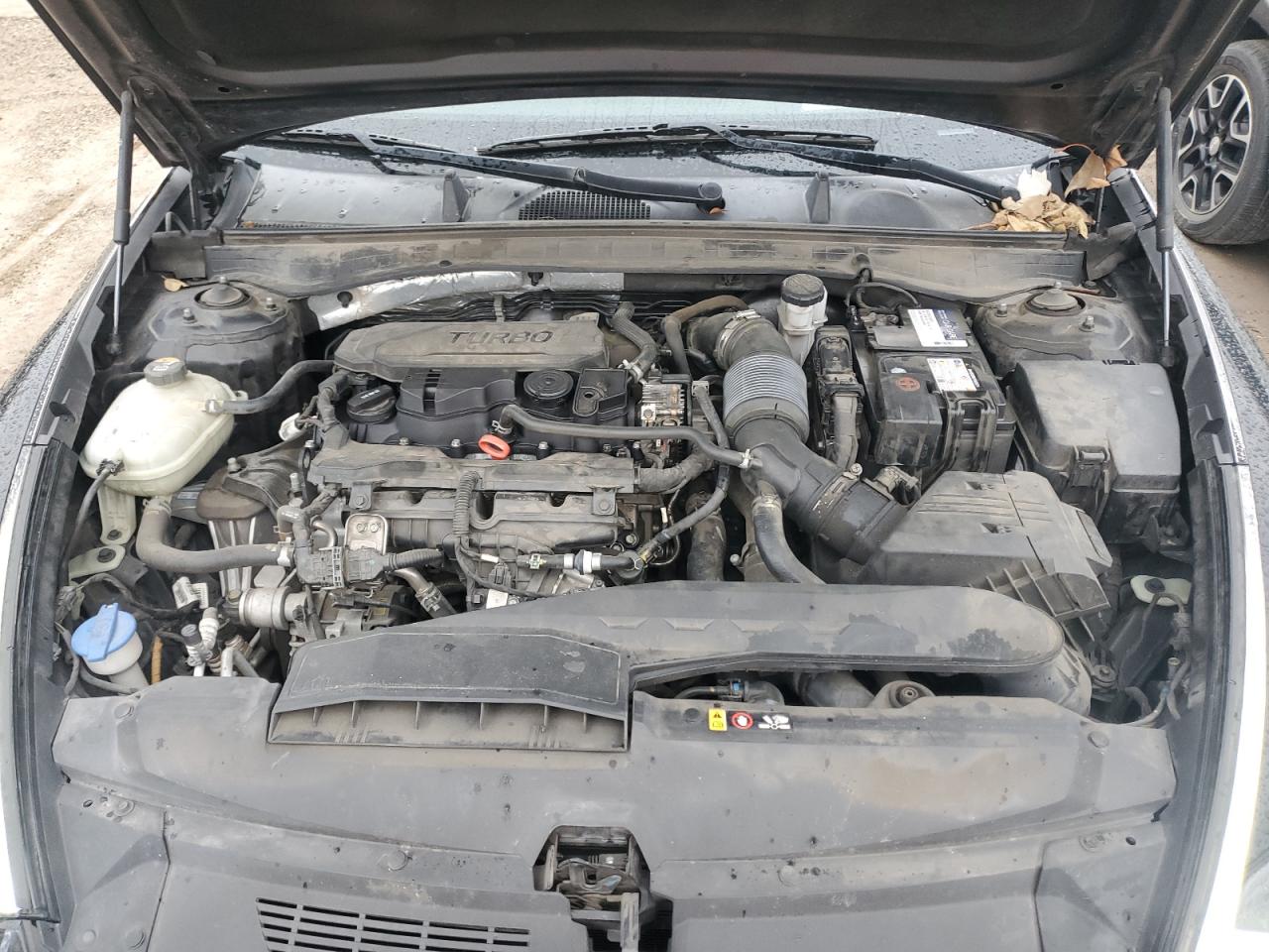 2020 Hyundai Sonata Limited VIN: 5NPEH4J23LH031529 Lot: 54091735