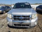 2012 Ford Escape Limited for Sale in Louisville, KY - Hail