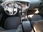 2016 Dodge Charger Sxt zu verkaufen in Albuquerque, NM - Vandalism